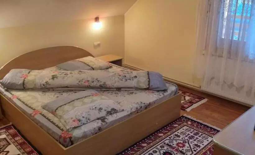 Pensiunea Casa șteț Toader Iulian