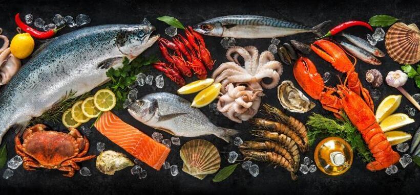 Beachfront Bbq Infinitypool&jacuzzi Aqualoft