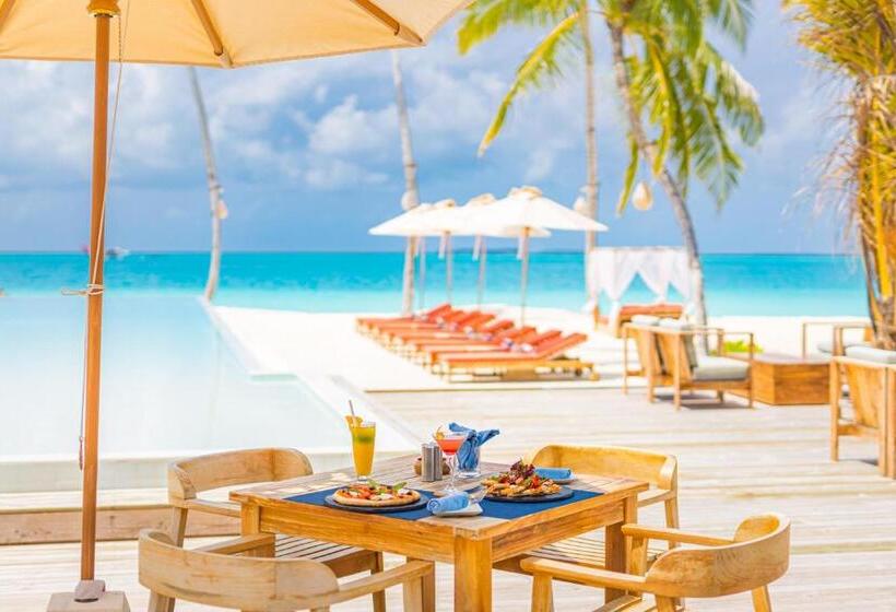 Beachfront Bbq Infinitypool&jacuzzi Aqualoft