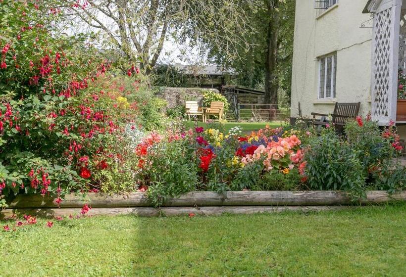 Bed and Breakfast Lower Ford Farm