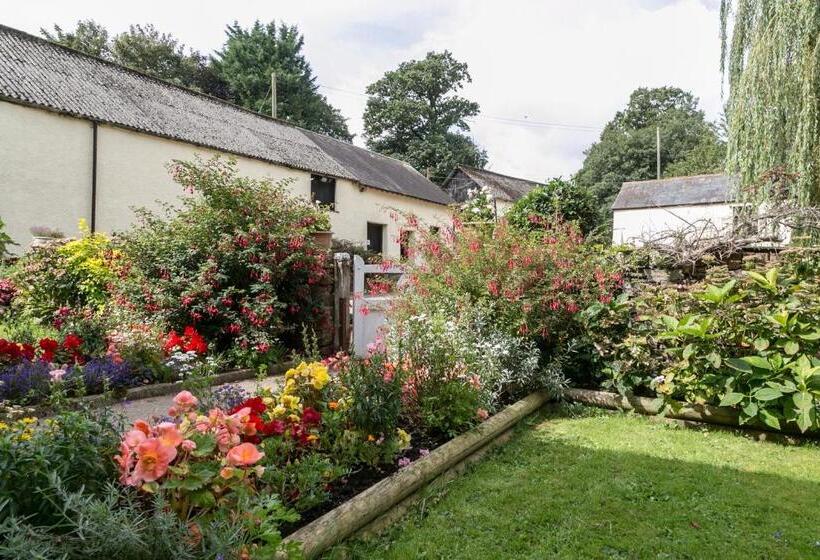 Bed and Breakfast Lower Ford Farm