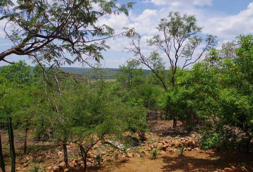 Hotel Bosveldsig Cottages