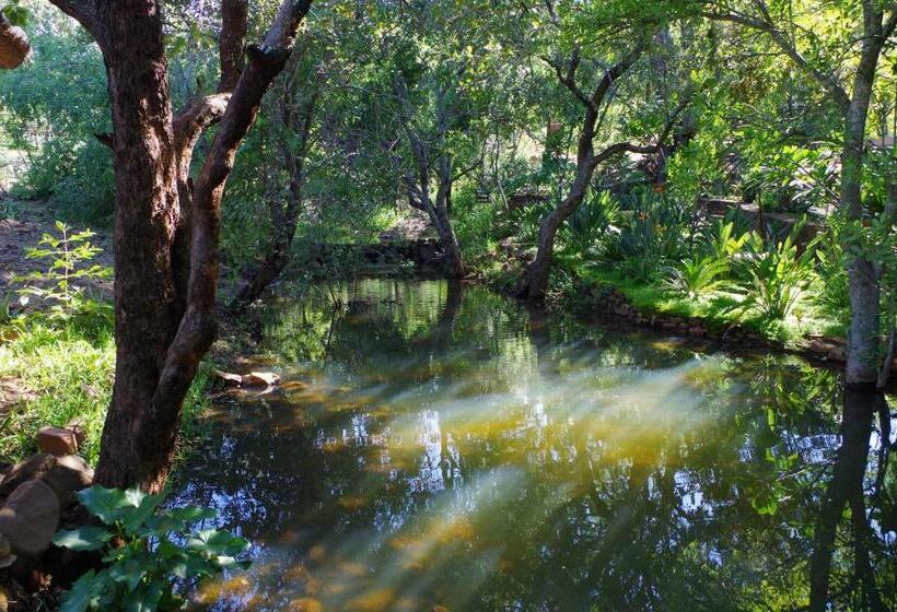 Hotel Bosveldsig Cottages