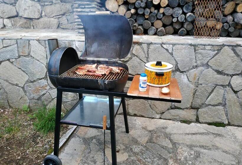 Panzió вила баните