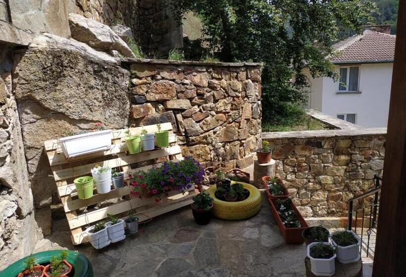 Panzió вила баните