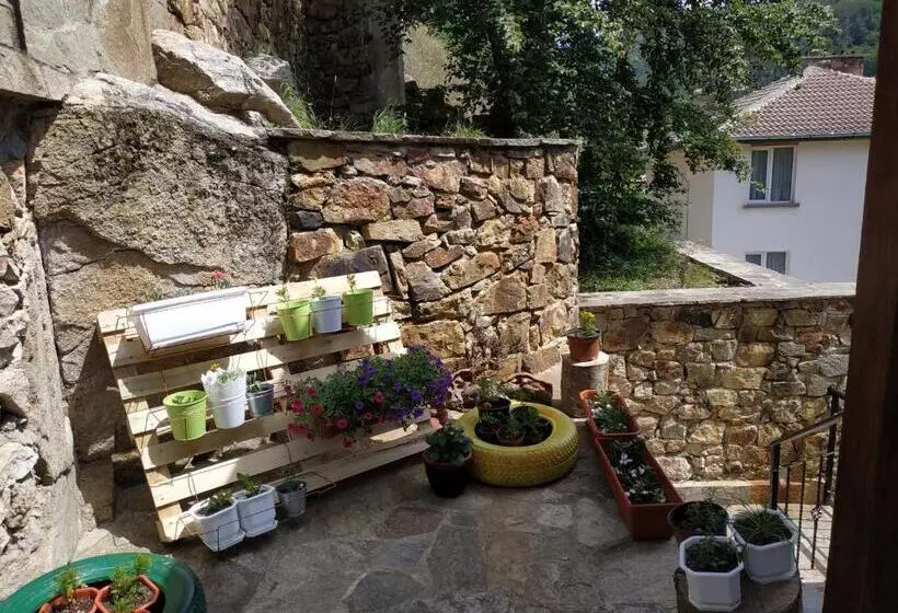 ペンション вила баните