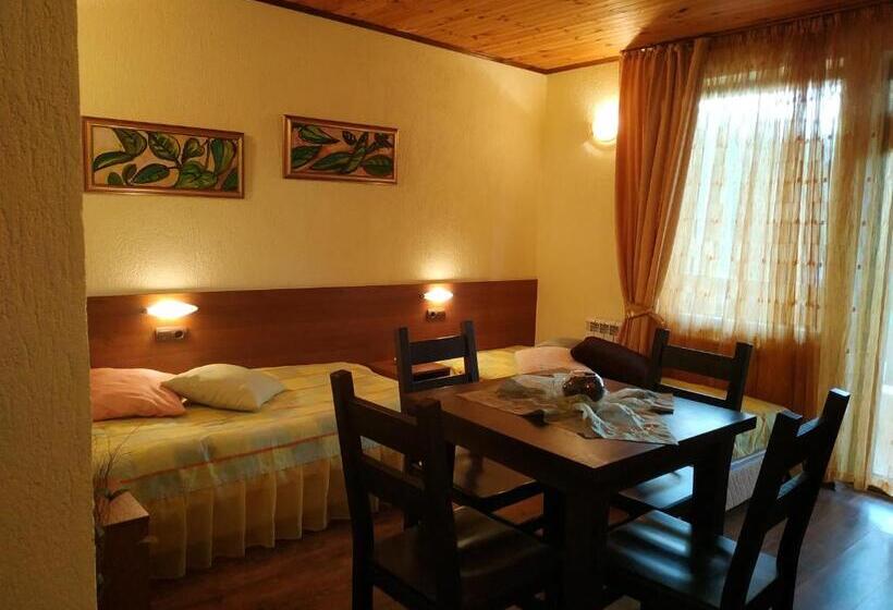 Panzió вила баните