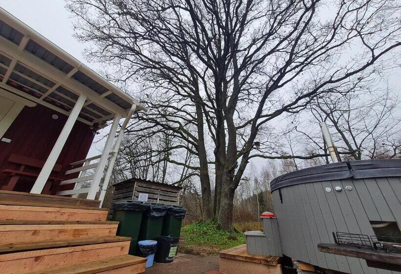 پانسیون Toma Pirts Mazā