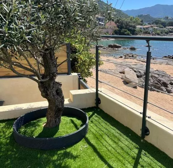 Pieds Dans L Eau, Tiuccia, Appartement 2 4 Pers