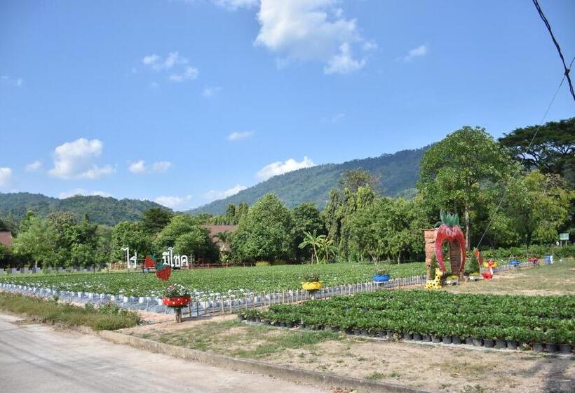 호스텔 Darunee Resort