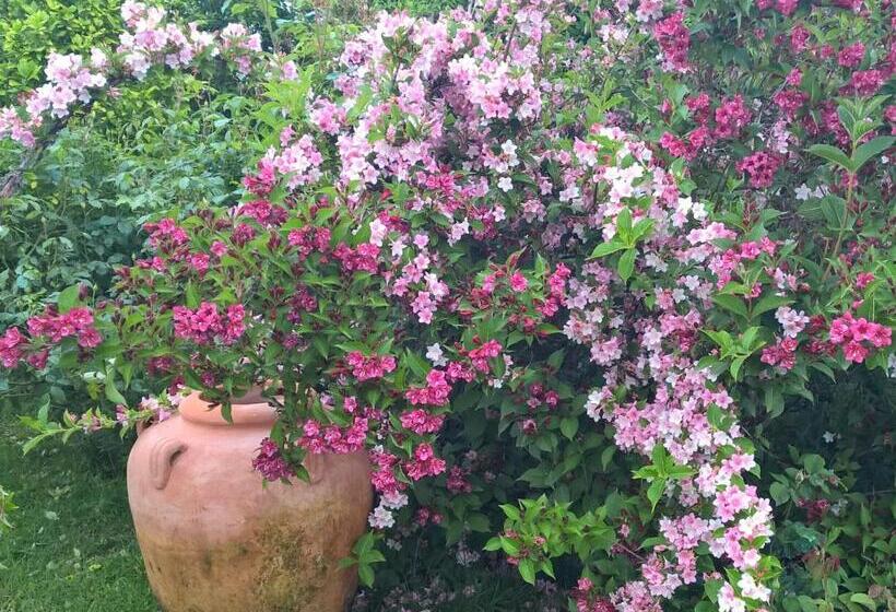 B&b Villa Giardini Susanna