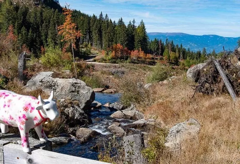 Kuhglück Koralpe