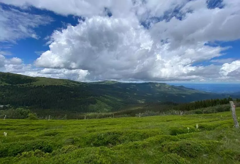 Kuhglück Koralpe