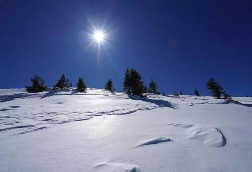 Kuhglück Koralpe