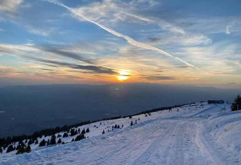 Kuhglück Koralpe