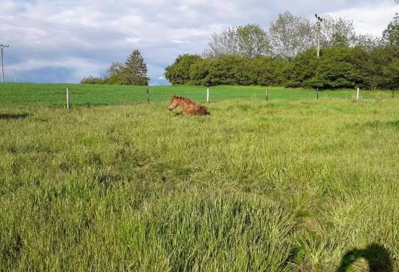 Majatalo čenovický Dvůr