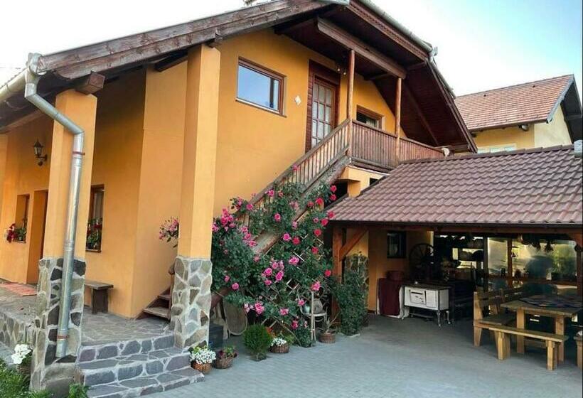 بنسيون Gáll Vendégház