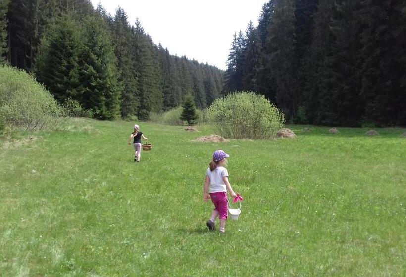 بنسيون Gáll Vendégház