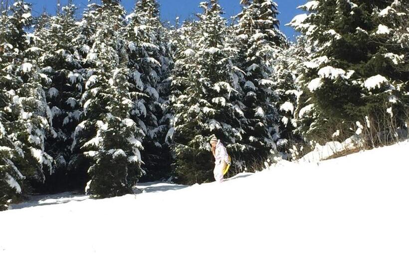 بنسيون Gáll Vendégház