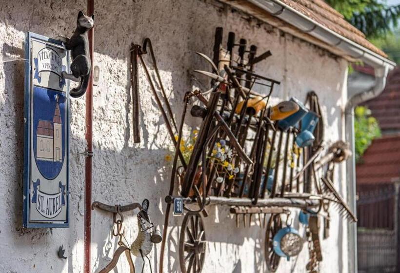 Pension Penzión Aurel