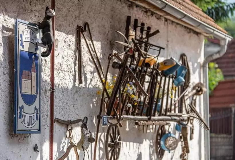 Majatalo Penzión Aurel