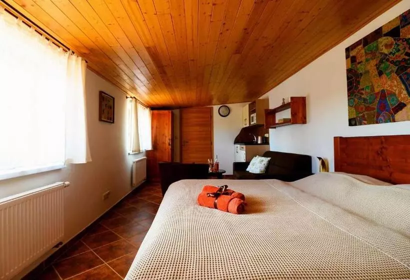 ペンション Penzion U Tří Růží