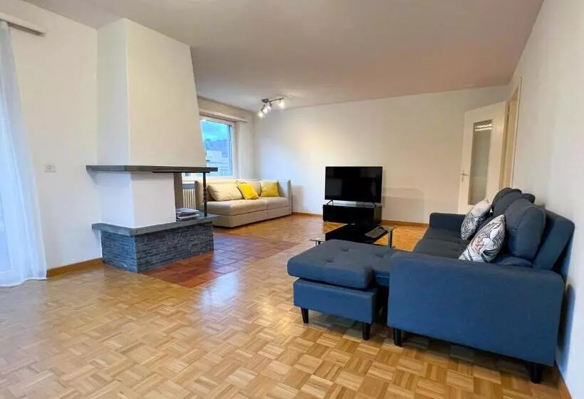 Schöne Grosse Attika Wohnung Im Zentrum Von Vaduz Inkl. Parkplatz