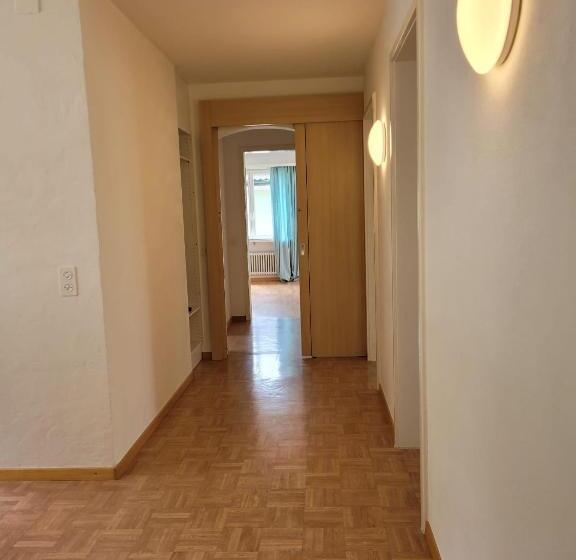 Schöne Grosse Attika Wohnung Im Zentrum Von Vaduz Inkl. Parkplatz