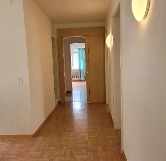 Schöne Grosse Attika Wohnung Im Zentrum Von Vaduz Inkl. Parkplatz