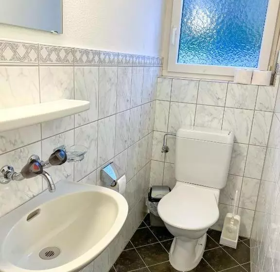 Schöne Grosse Attika Wohnung Im Zentrum Von Vaduz Inkl. Parkplatz