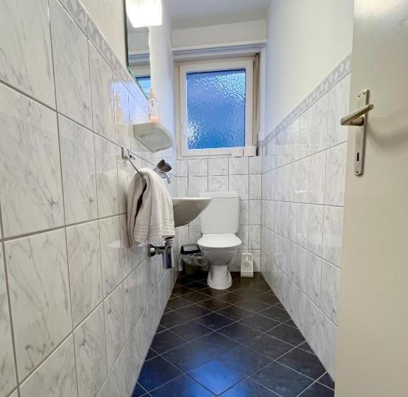 Schöne Grosse Attika Wohnung Im Zentrum Von Vaduz Inkl. Parkplatz