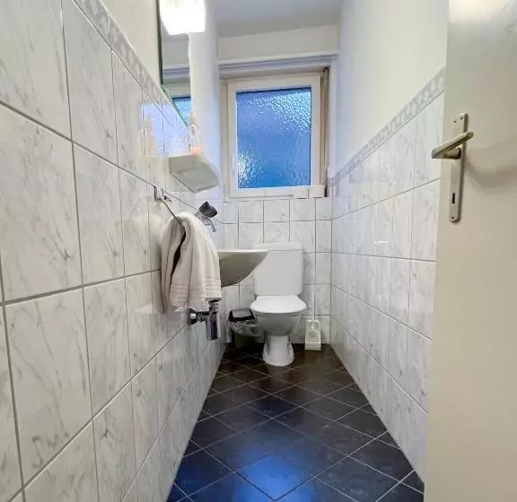 Schöne Grosse Attika Wohnung Im Zentrum Von Vaduz Inkl. Parkplatz