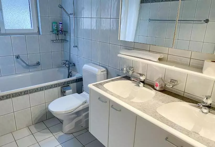 Schöne Grosse Attika Wohnung Im Zentrum Von Vaduz Inkl. Parkplatz