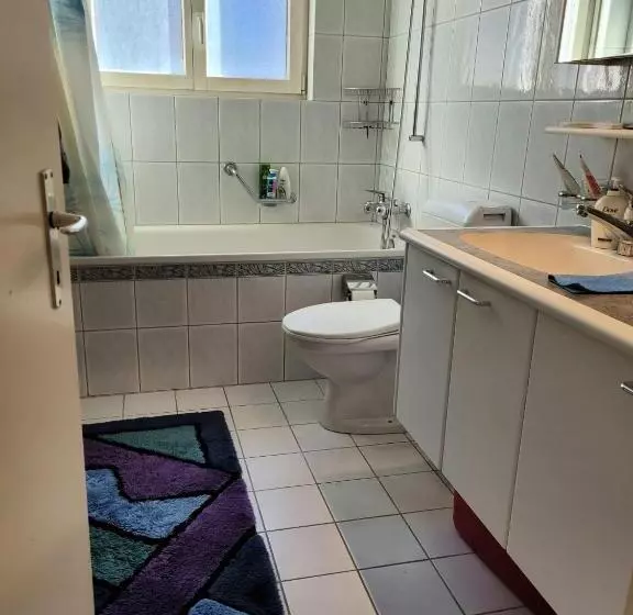 Schöne Grosse Attika Wohnung Im Zentrum Von Vaduz Inkl. Parkplatz