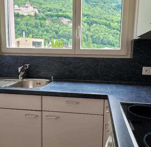 Schöne Grosse Attika Wohnung Im Zentrum Von Vaduz Inkl. Parkplatz