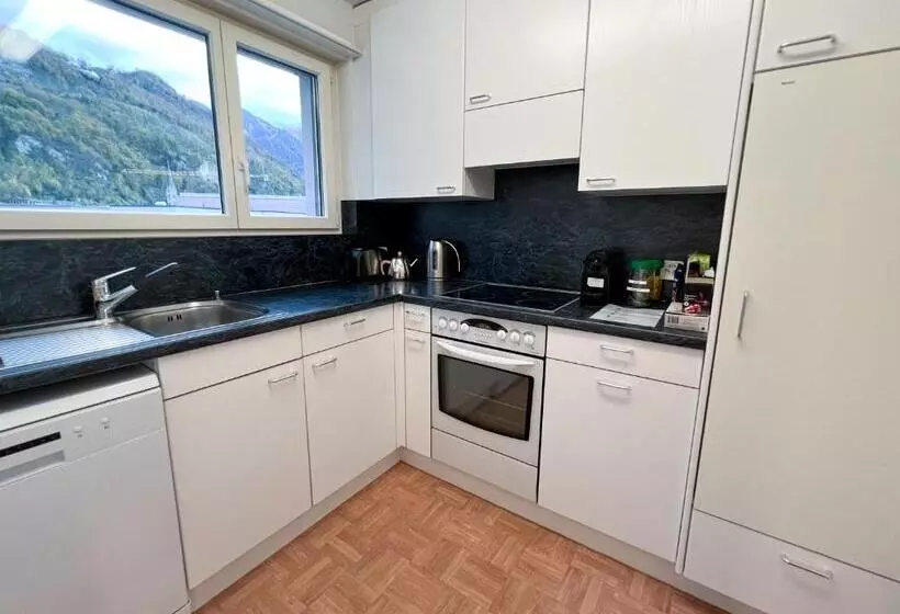 Schöne Grosse Attika Wohnung Im Zentrum Von Vaduz Inkl. Parkplatz