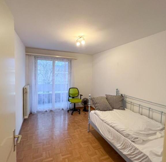 Schöne Grosse Attika Wohnung Im Zentrum Von Vaduz Inkl. Parkplatz