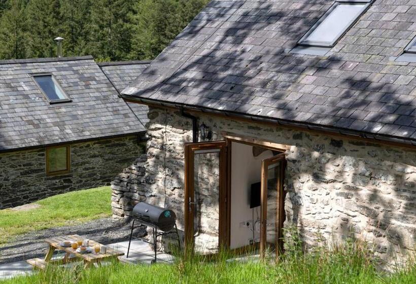 Snowdonia Holiday Cottage