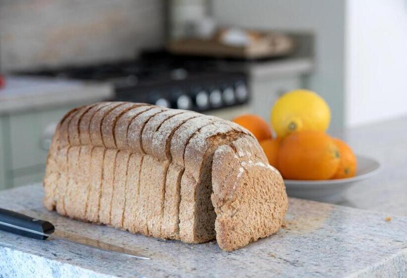 Snowdonia Holiday Cottage