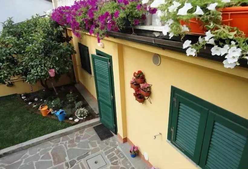 Bed and Breakfast Hostel Pisa Tower