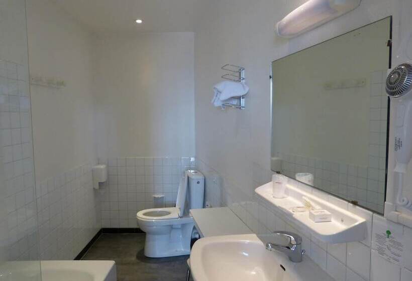 فندق Hôtel Terminus