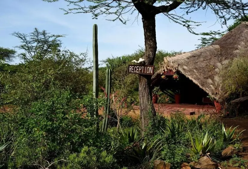 هتل Ikoma Tented Camp