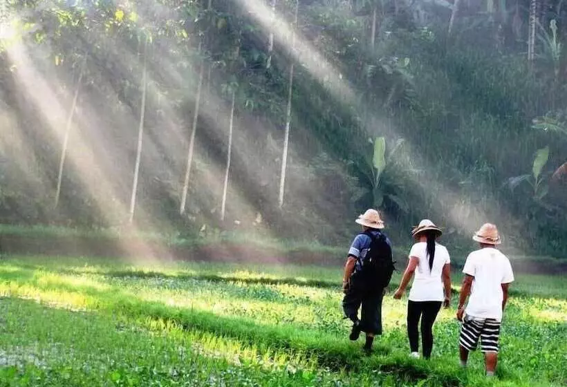 בית מלון כפרי Jiwa Klusa Luxury Villa