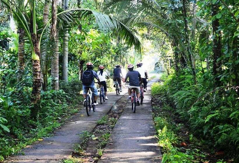 Отель Jiwa Klusa Luxury Villa