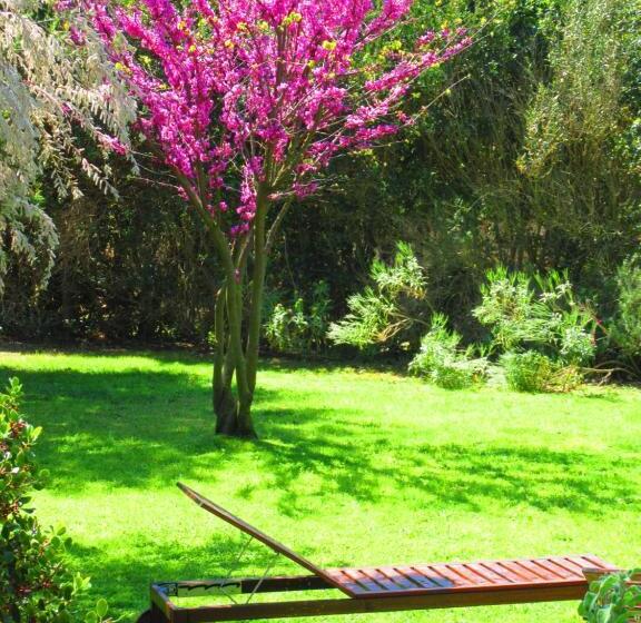 Agriturismo Serignano Alle Rocchette