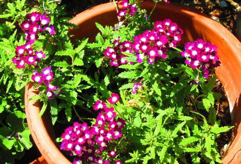 Agriturismo Serignano Alle Rocchette