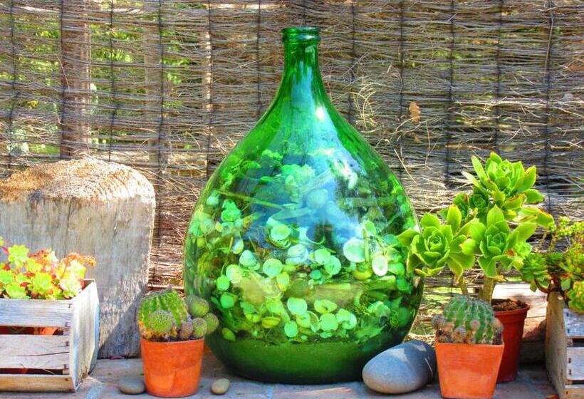 Agriturismo Serignano Alle Rocchette