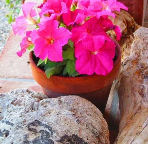 Agriturismo Serignano Alle Rocchette