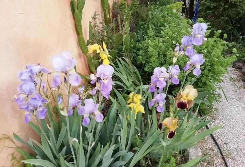 צימר Chambre D Hôte Le Mas Des Romarins