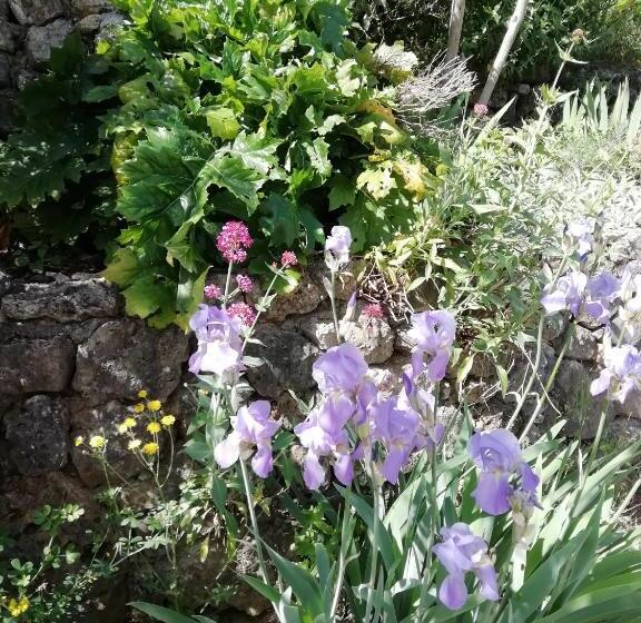 צימר Chambre D Hôte Le Mas Des Romarins